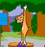 Tally Cat stretching, as an idle animation, Reader Rabbit Preschool