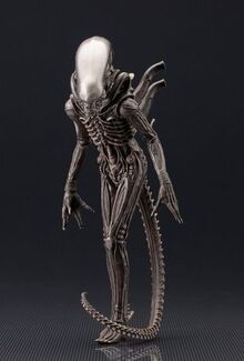 Xenomorph