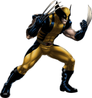 Wolverine Portrait Art.png