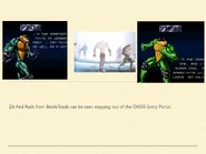 Zitz And Rash Battletoads