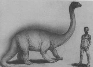 Mokele-mbembe  The World of Animals