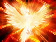 Firebird.jpg
