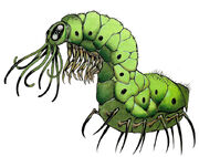 Carrioncrawler.jpg