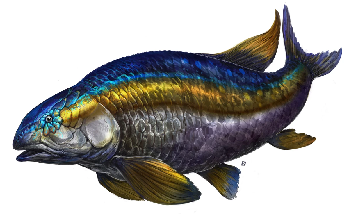 Ulua | RealmsofAhlus Wiki | Fandom