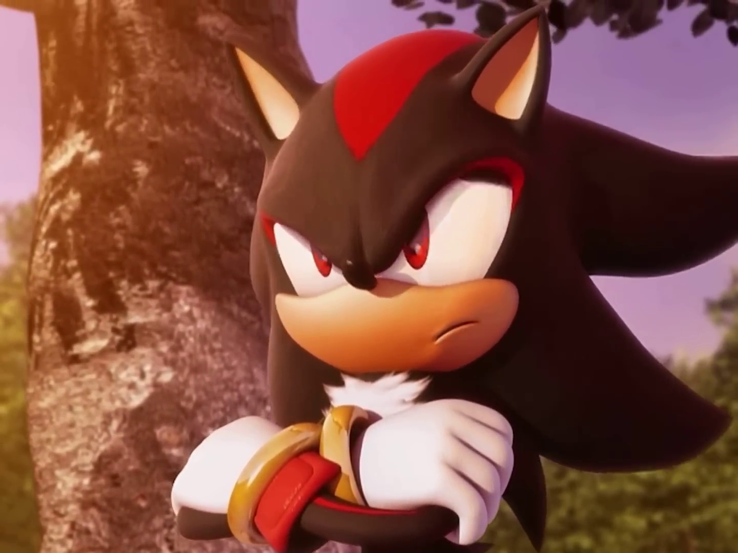 Shadow the Hedgehog Voice Redub [Sonic Boom] 