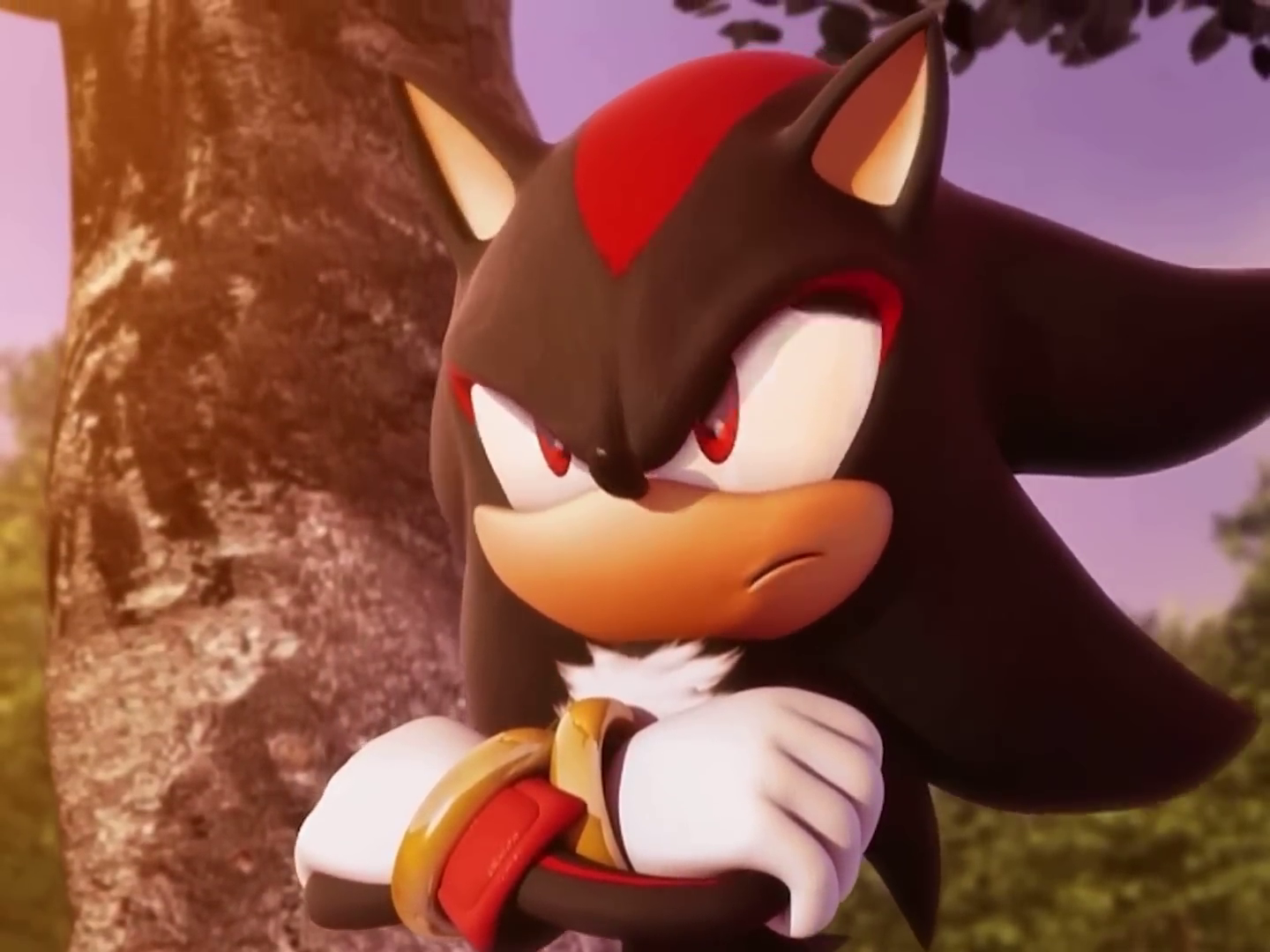 cohost! - #shadow the hedgehog