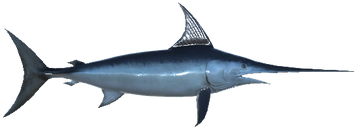 Swordfish, Real VR Fishing Wiki