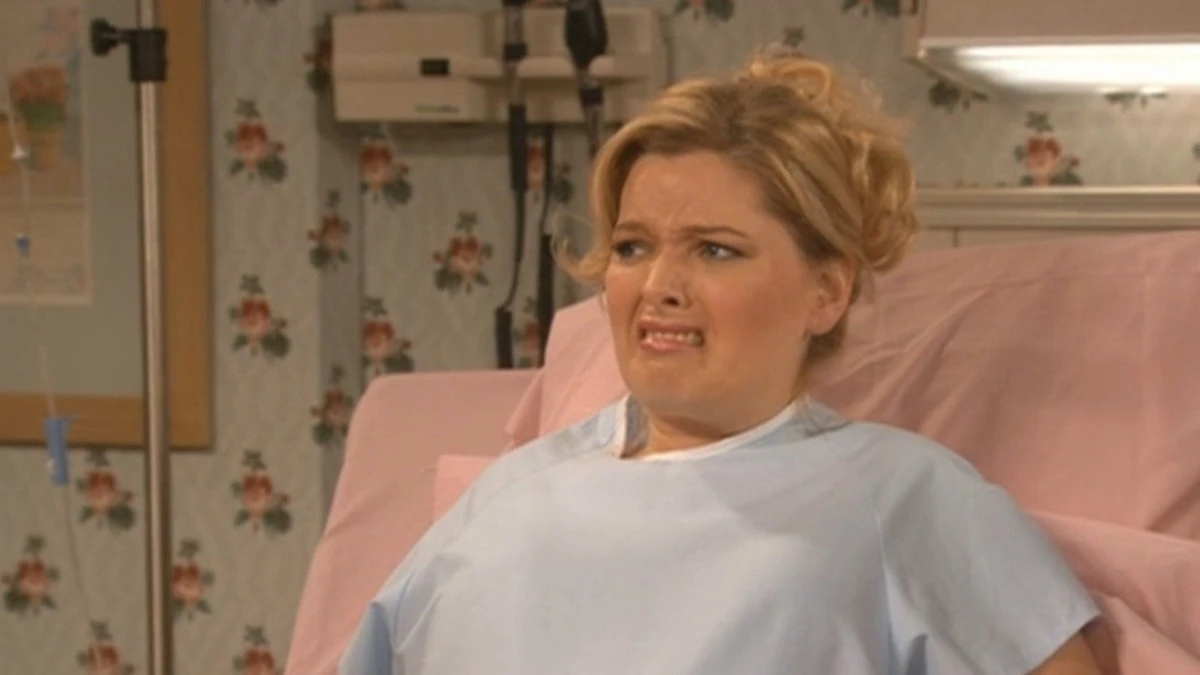 Labor of Love | Reba Wiki | Fandom