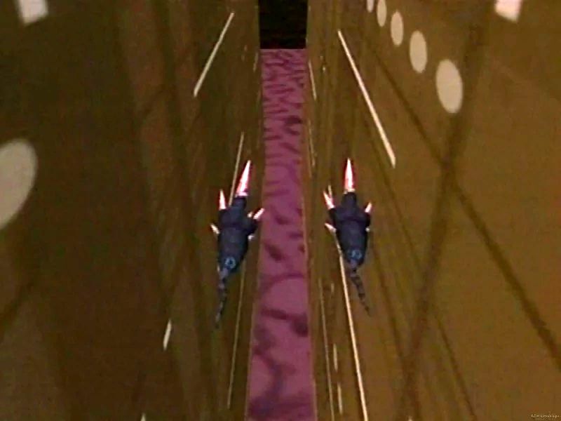 Web spores.jpg