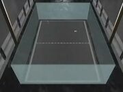 Pong court
