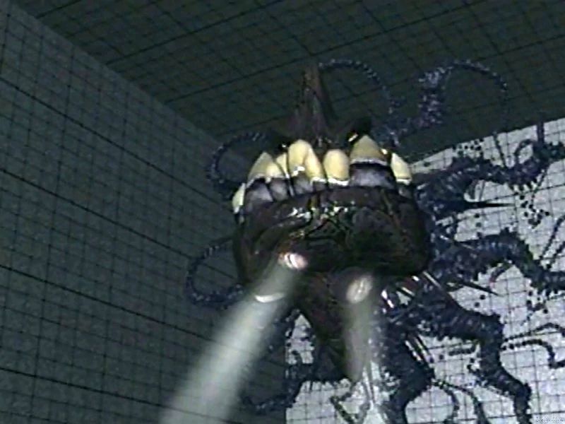 Web creature 4.jpg