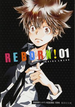 List of Katekyo Hitman Reborn! chapters and volumes | Reborn Wiki