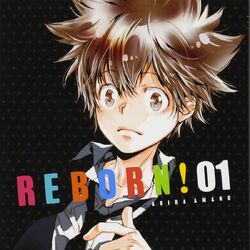 Reborn! Collection (FINAL) : r/khr