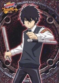 Katekyo Hitman Reborn! Trading Collection Brillante | Reborn Wiki