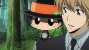 Reborn Confident in Tsuna