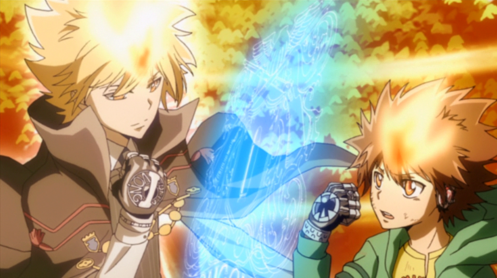 Anillos vongola significado online