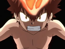 tsuna sawada dying will