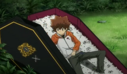 Tsuna Coffin