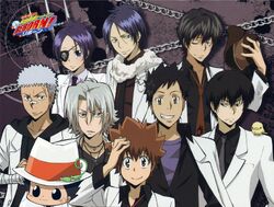 Vongola Decimo & Guardians, Reborn Wiki, Fandom