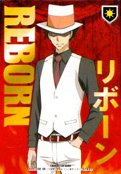 Katekyo Hitman Reborn! Character Card Game Volume 8 | Reborn Wiki