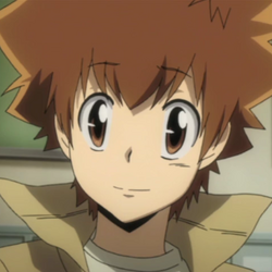 Katekyo Hitman Reborn, Wiki