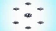 The Vongola Rings