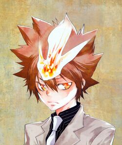 Tsunayoshi Sawada, Reborn, fan Fiction, wiki, gentleman, mangaka, costume  Design, male, Human, anime