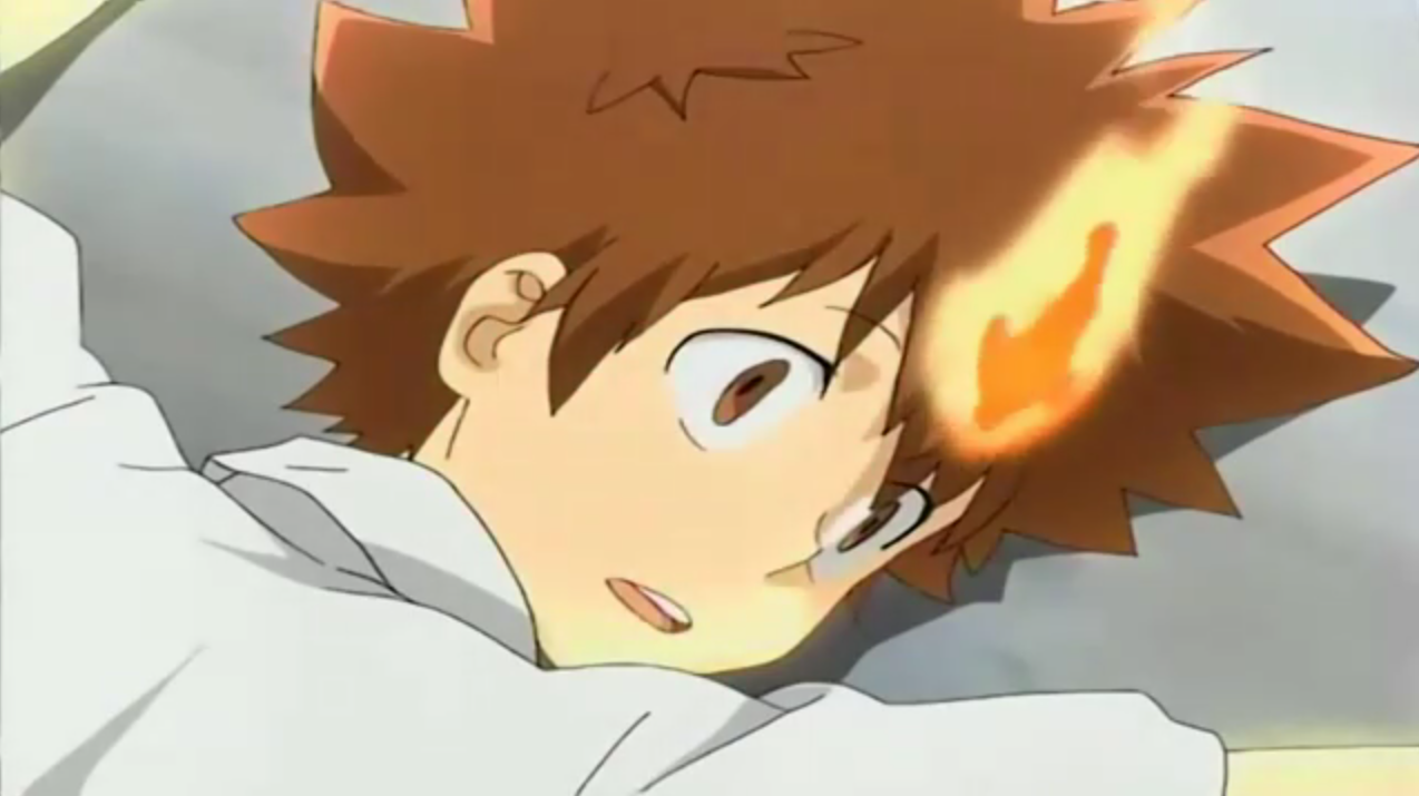 tsuna sawada dying will