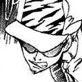"Killer Brothers" (older) † Recently famous Namimori assassin.[2]