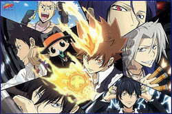 Vongola Decimo Guardians, Reborn Wiki, Fandom