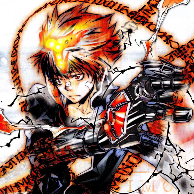 hitman reborn flames