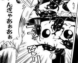 Reborn Reborn Wiki Fandom