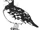 Aves del Rayo