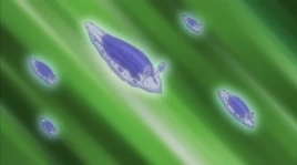 Babosas Marinas Espectrales