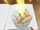 Sun Flame