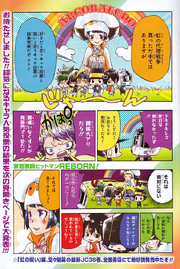 361 color page