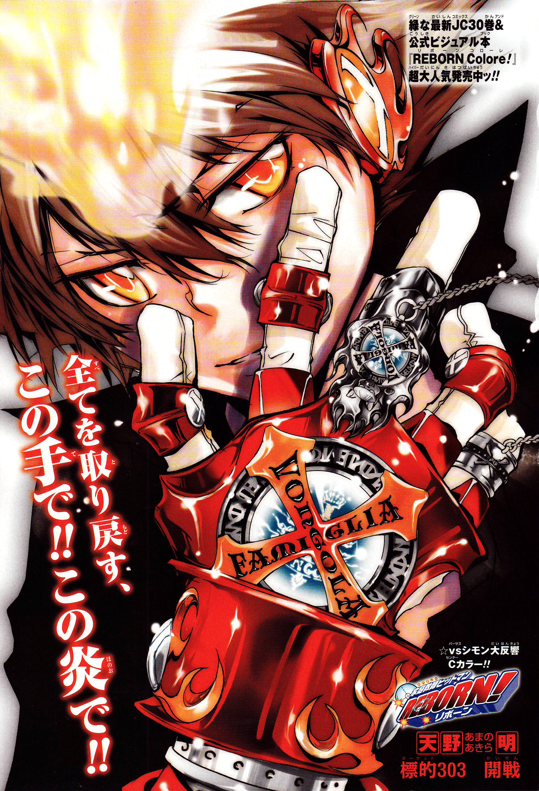 List of Katekyo Hitman Reborn! chapters and volumes, Reborn Wiki, Fandom