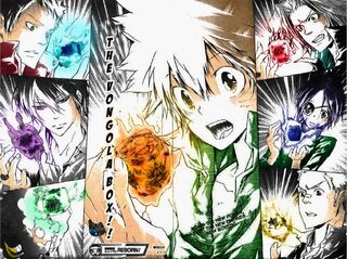 Armas de Box, Katekyo Hitman Reborn Brasil Wiki