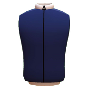 Tracksuit (Blue) (150 Tokens)