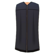 Graduation Gown (From Grads 2020 Event)