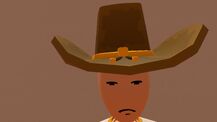 Cowboy hat brown gold