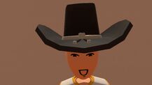 Cowboy hat black silver