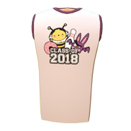 Class of 2018 Shirt (Given to all accounts who played in 2018)