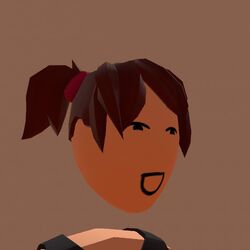 Hair Rec Room Wiki Fandom