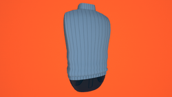 Turtleneck (Blue): 150 Tokens