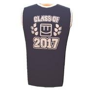 *Class of 2017 Shirt (Given to all accounts who played in 2017)