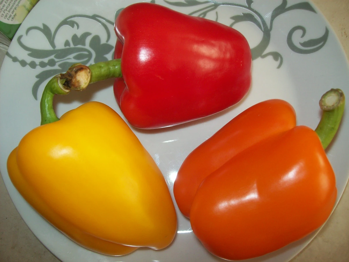 Paprika Recepten Wiki Fandom