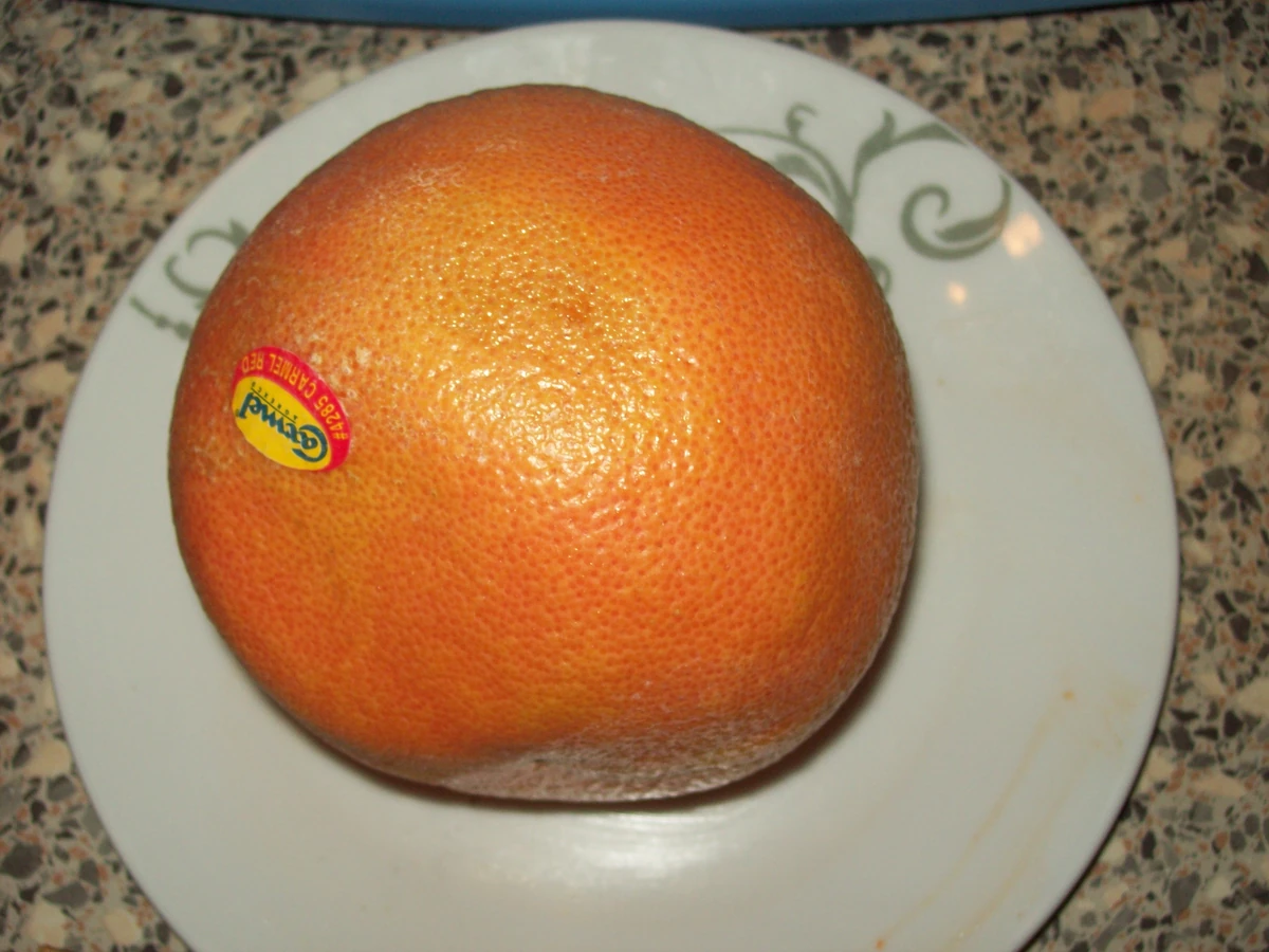 Grapefruit Recepten Wiki Fandom