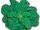Savoy spinach