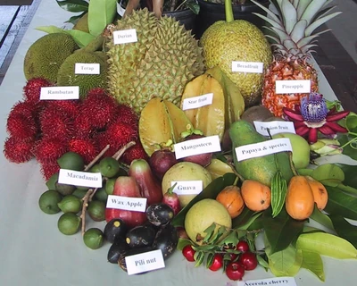 Fruits with proper name